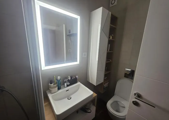 Liman 5 Riverside 209 I 109 With Free Private Parking Daire Novi Sad