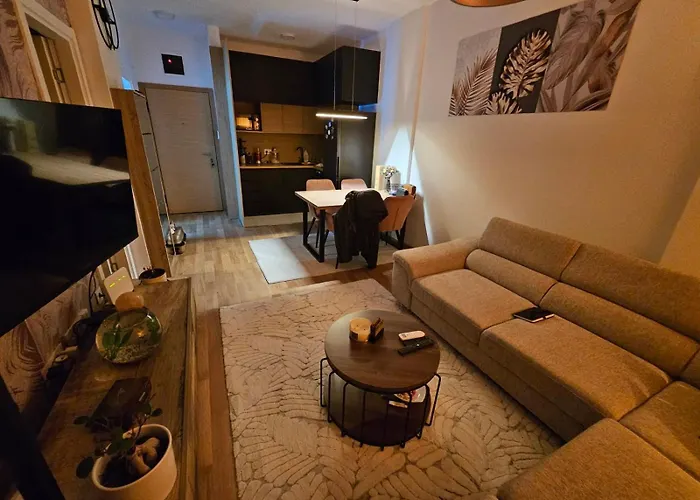 Liman 5 Riverside 209 I 109 With Free Private Parking Daire Novi Sad