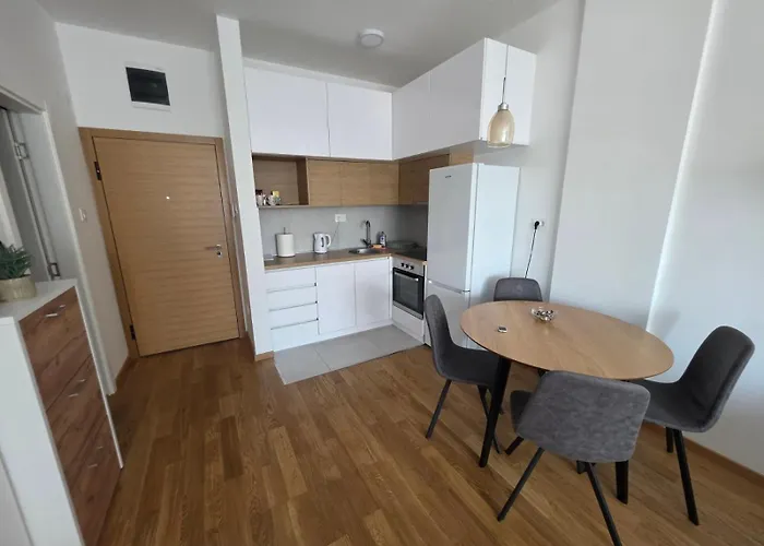 Liman 5 Riverside 209 I 109 With Free Private Parking * Novi Sad